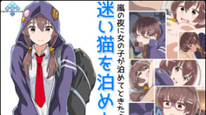 夜鹰让我们在一只迷路的猫身边睡觉吧